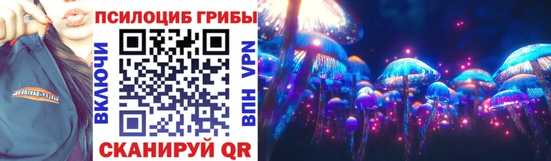 Купить где  Константиновск  Галлюциногенные грибы Cubensis 